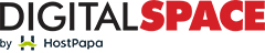 DigitalSpace logo